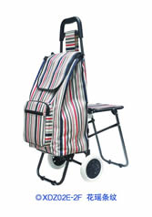 Ordinary shopping cart with seatXDZ02-2F-53